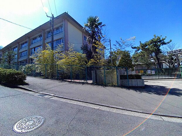 西野川小学校(約700m)