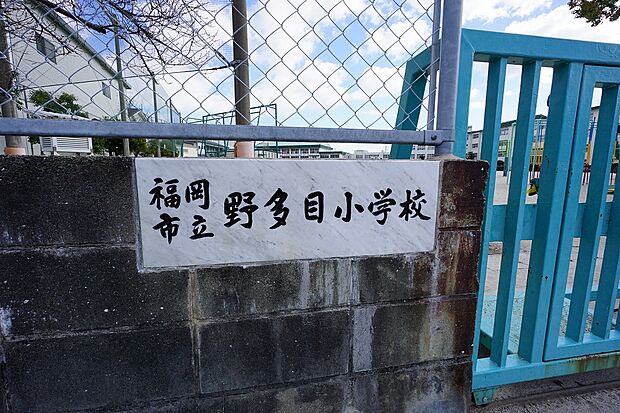 福岡市立野多目小学校（約250m）