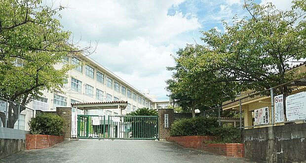福岡市立鶴田小学校（約700m）