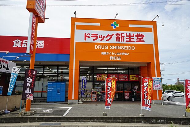 ドラッグ新生堂昇町店（約767m）