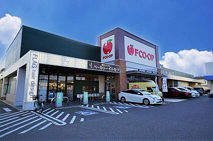 FCO・OP新宮店 599m