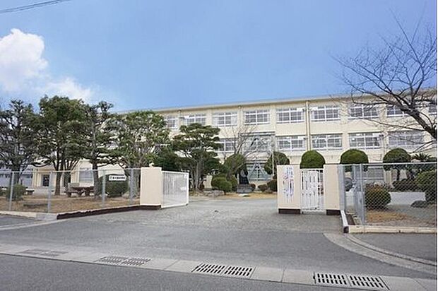 福岡市立多々良中学校（約500m）