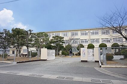 福岡市立多々良中学校 1266ｍ