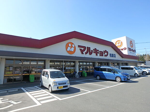 マルキョウ柏原店(約450m・徒歩6分)