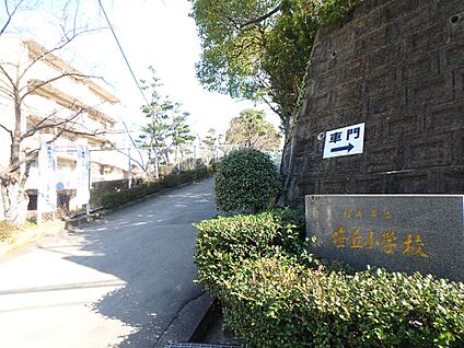 福岡市立笹丘小学校 300m(4分)