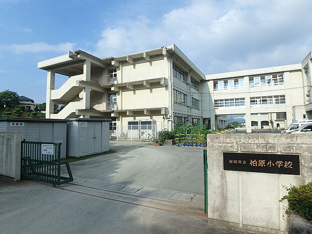 福岡市立柏原小学校(約850m・徒歩11分)