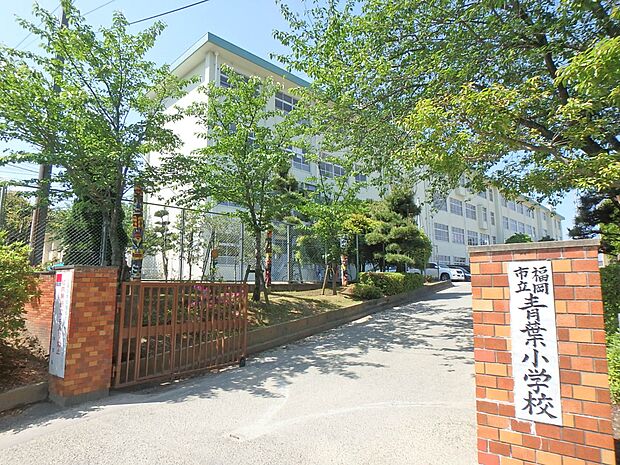 福岡市立青葉小学校(約1,120m・徒歩14分)