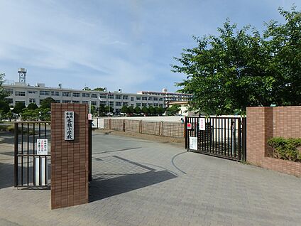 福岡市立香椎小学校 1200m(15分)