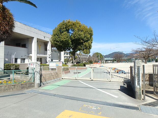 大野城市立大野小学校(約650m・徒歩9分)