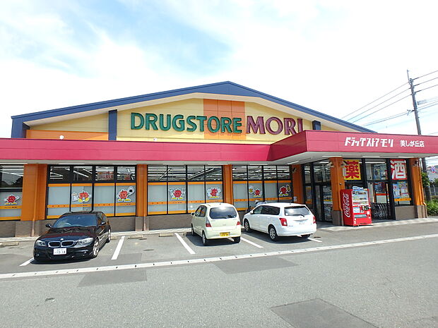 ドラッグストアモリ美しが丘店（約590m・徒歩8分）