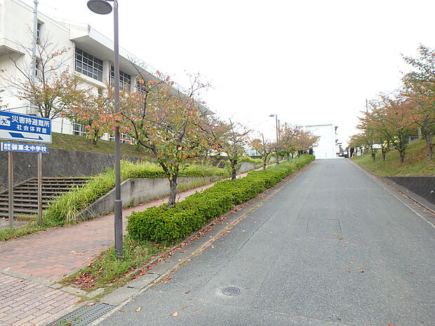 篠栗北中学校(約1,200m・徒歩15分)