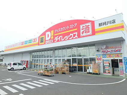 ダイレックス那珂川店 700m(9分)