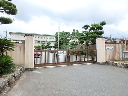 福岡市立早良中学校 500m(7分)