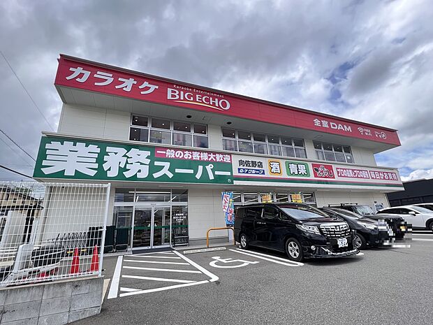 業務スーパー向佐野店（約650m・徒歩9分）