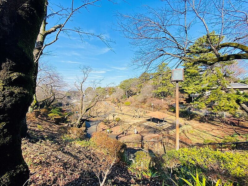 大倉山公園まで徒歩13分　春には46種類約220本の梅が咲く