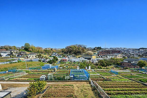 54m2の大きな畑がセットになっております。緑豊かな環境の下で自給自足の生活を楽しむ事ができそうですね♪
