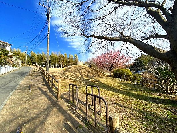 新井町公園まで700m。通称「土管公園」と呼ばれ、地形を生かして配置された土管で遊べる珍しい公園。遊具エリアの少し奧には森のように緑に囲まれた空間があり、お散歩コースにもぴったりです。