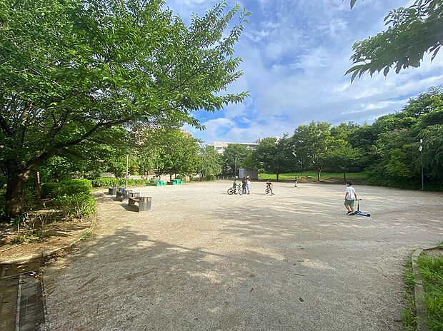 宮前美しの森公園(約500m)