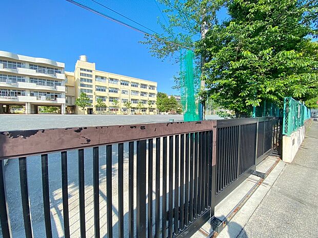 横浜市立駒林小学校（約400m）