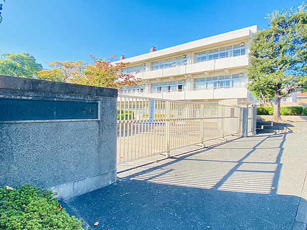 横浜市立新石川小学校（約700m）