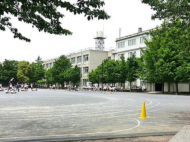 川崎市立田島小学校（約250m）