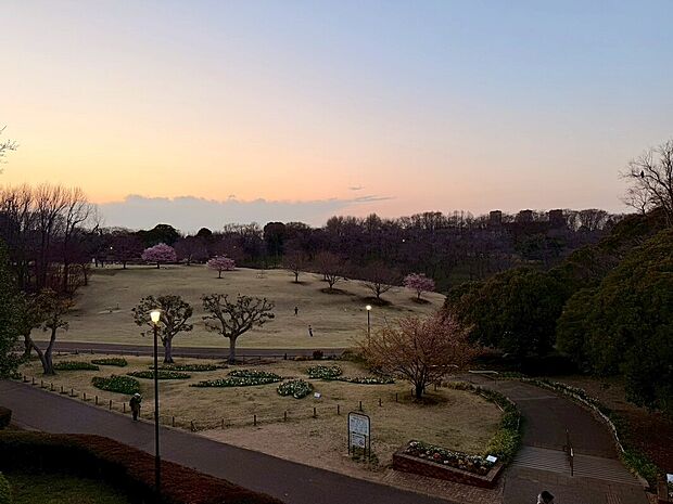 根岸森林公園(約750m)