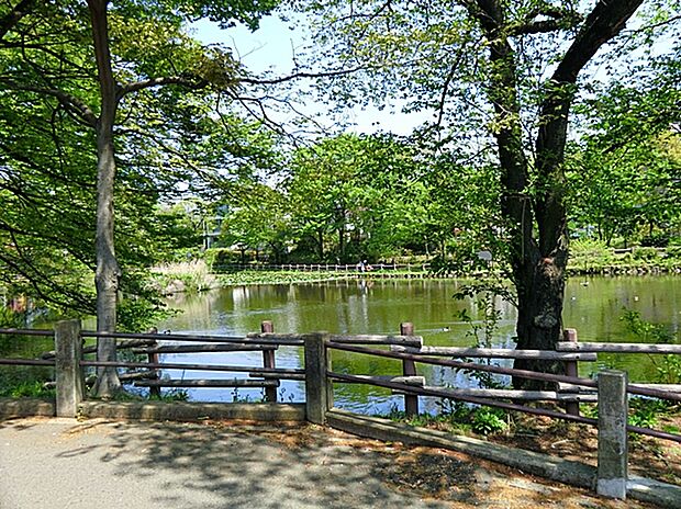 菊名池公園（約130m）