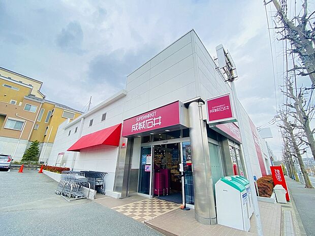 成城石井 美しが丘店(約500m)
