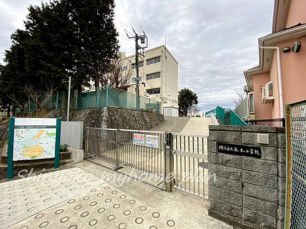 横浜市立谷本小学校(約250m)