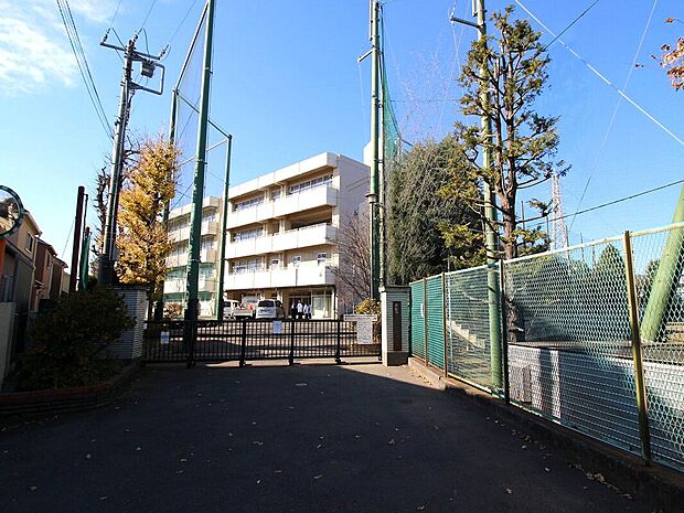 横浜市立六角橋中学校（約240m）