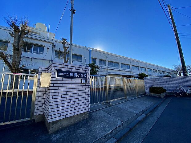 横浜市立神橋小学校（約600m）