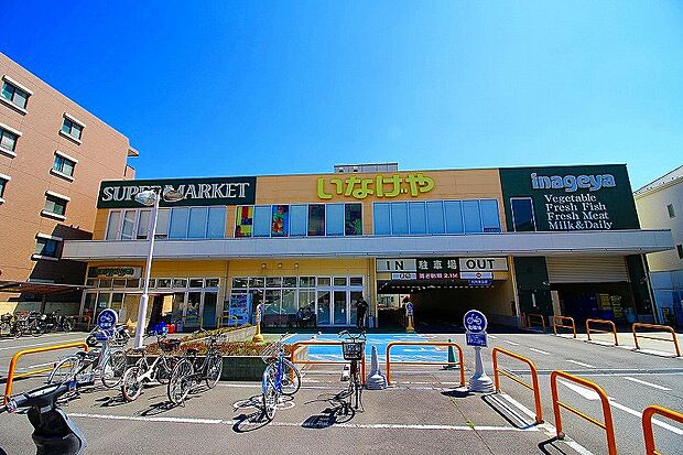 いなげや横浜綱島店(約750m)