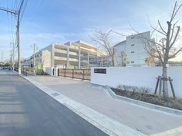 川崎市立子母口小学校/川崎市立東橘中学校(約350m)