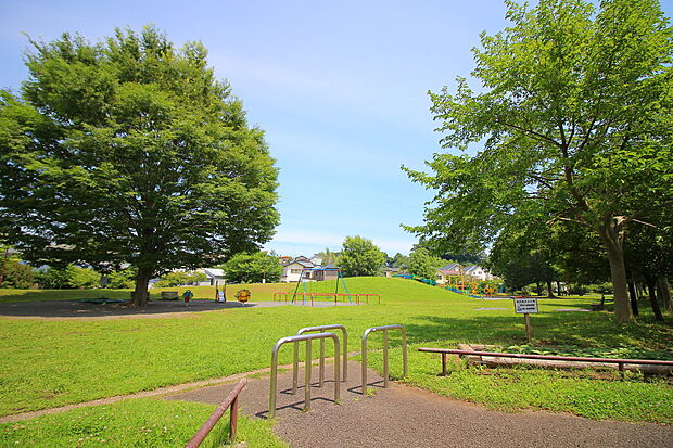 椚台公園(約800m)