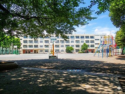 横浜市立常盤台小学校 850ｍ