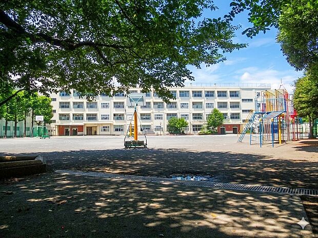 横浜市立常盤台小学校（約850m）