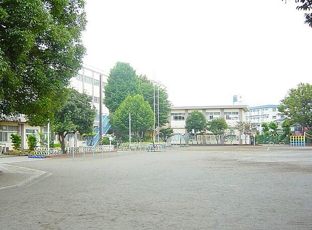 横浜市立大口台小学校（約650m）