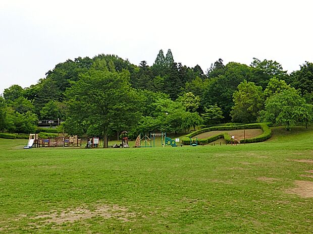 王禅寺ふるさと公園（約1,000m）