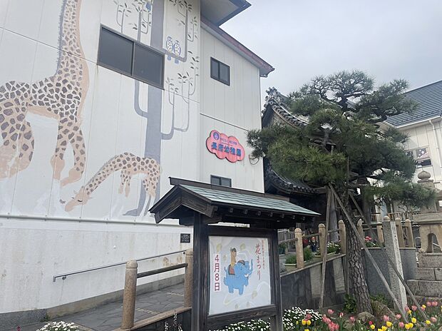 長府幼稚園