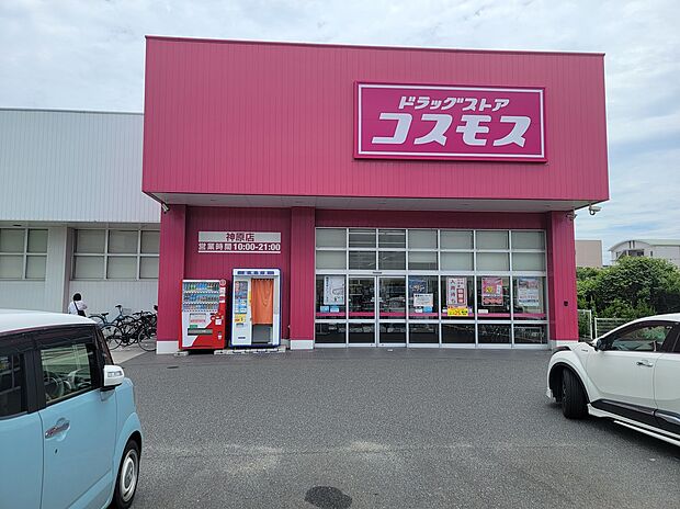 コスモス 神原店
