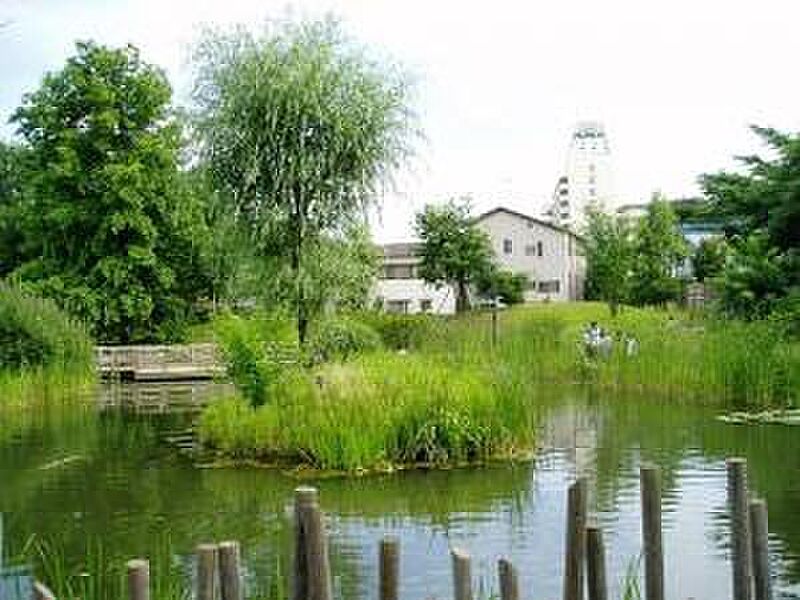 【その他】新川丸池公園