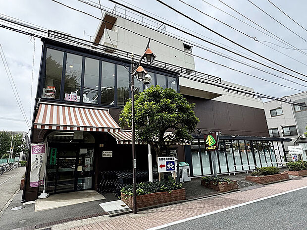 いなげや武蔵野西久保店（約600m）