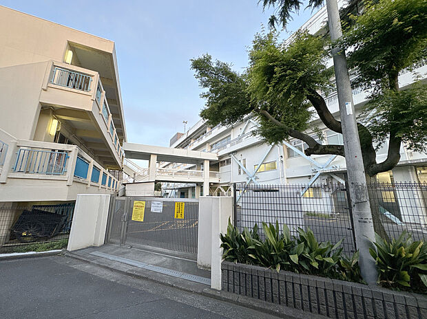 武蔵野市立第三小学校（約838m）