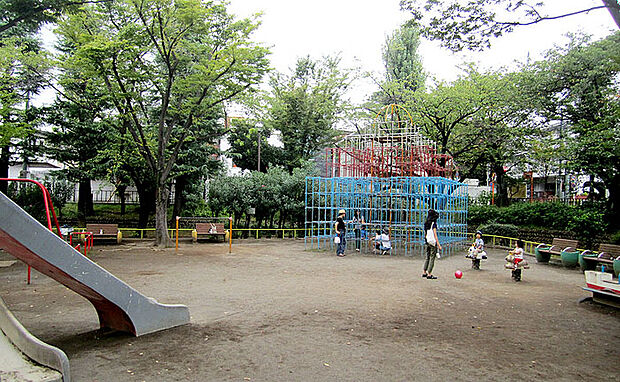 代々木大山公園(約446m)