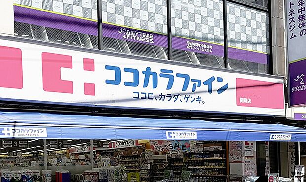 ココカラファイン神楽坂中里町店(約273m)