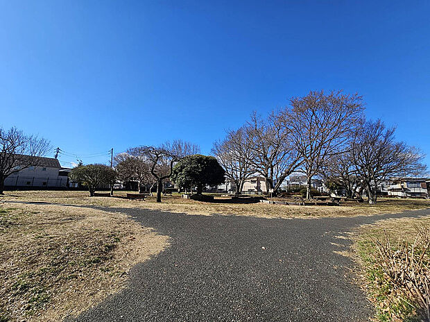善福寺川緑地 ロケット公園（約164m）