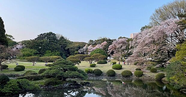 上野公園（約800m）