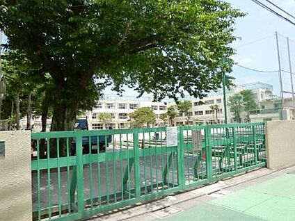 世田谷区立池之上小学校 452ｍ(徒歩6分)
