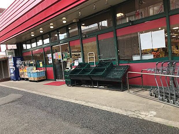 スーパーチェーンカワグチ SCこてはし中央店(約900m)