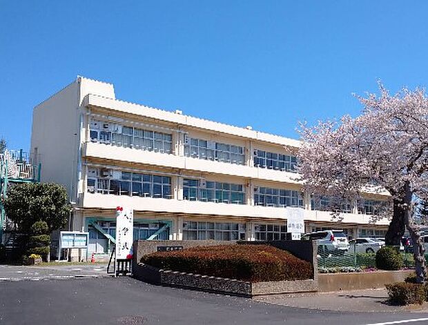 白井市立大山口小学校（約753m・徒歩10分）